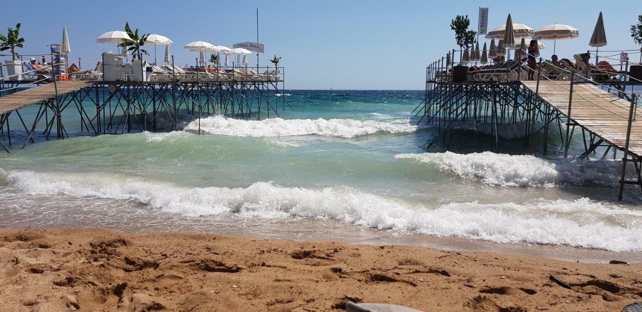 La Goelette - Palais Des Festivals * Cannes